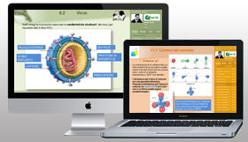 Corsi Online per le scuole