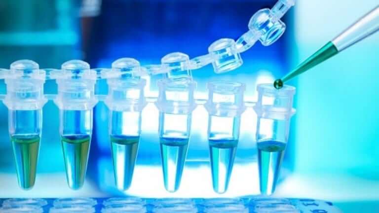 Chimica E Tecnologie Farmaceutiche Sbocchi Professionali