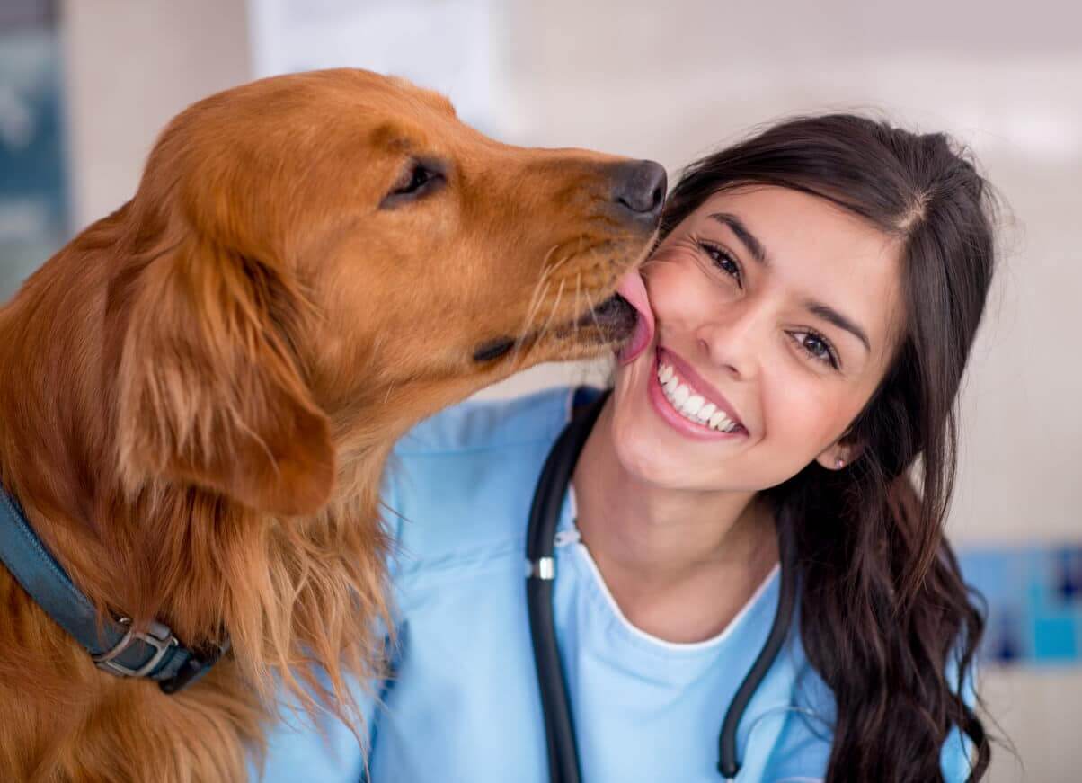 test veterinaria 2018