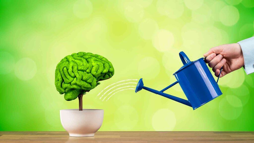 cervello problem solving dimensioni