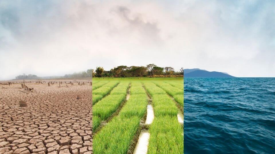 cambiamenti climatici e finanza sostenibile
