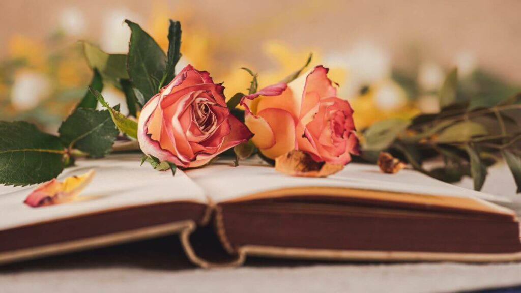 nome della rosa trama romanzo
