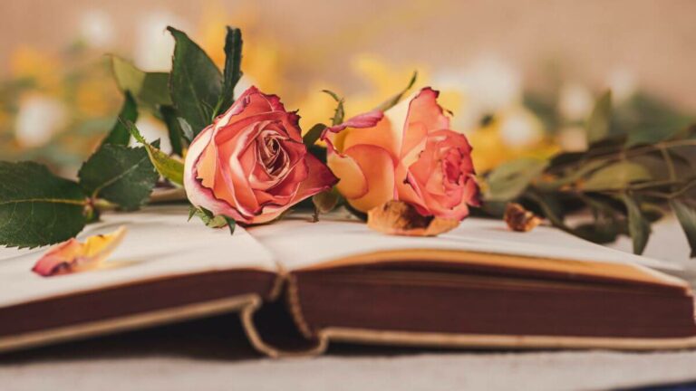 nome della rosa trama romanzo