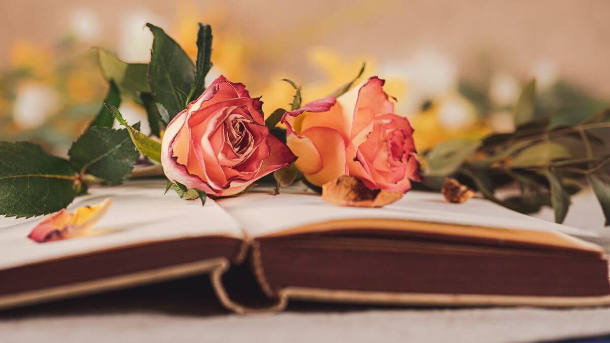 Il nome della rosa: trama e messaggio del romanzo