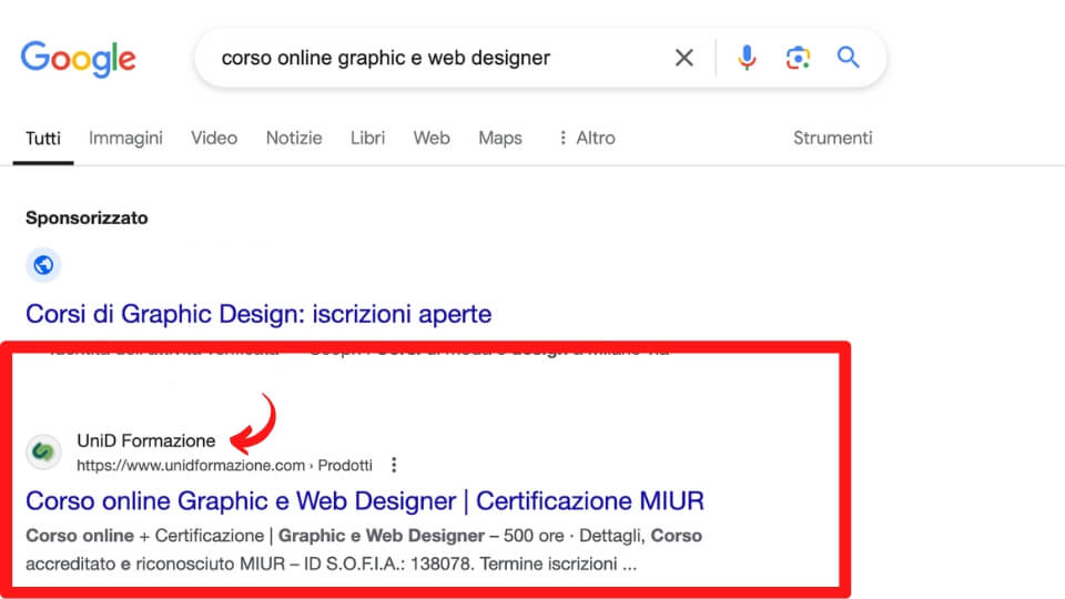 serp graphic e web designer