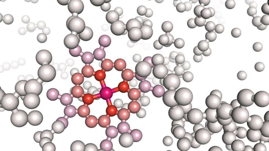 Proteine ed enzimi Guida con struttura e funzione