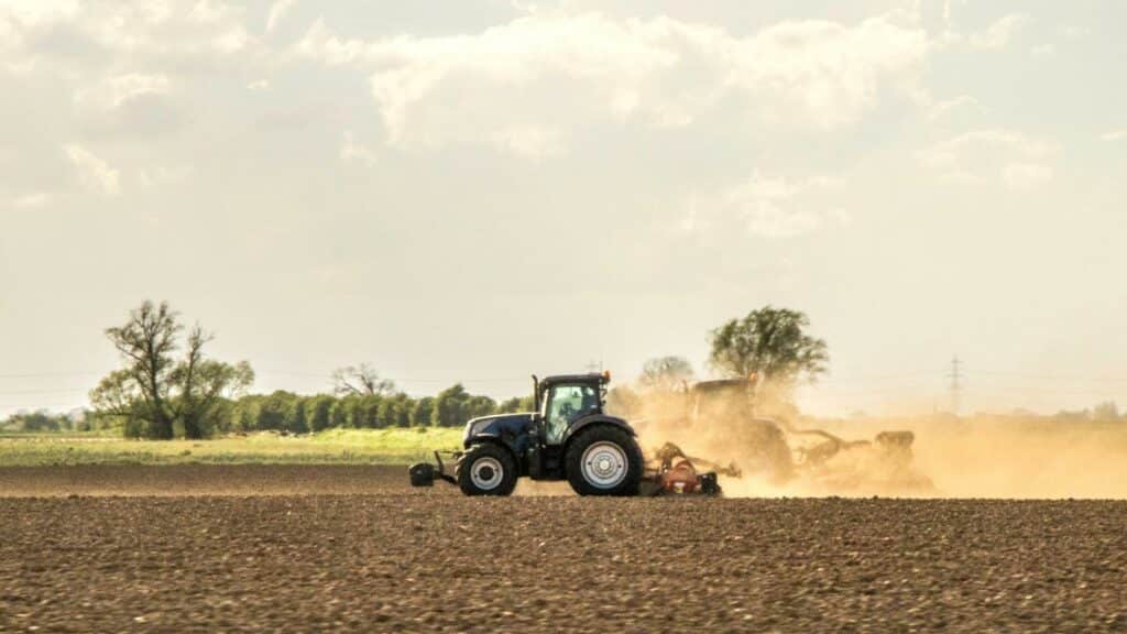 Aziende agricole 20mila attivita gestite da giovani laureati