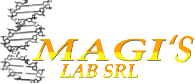 magis lab