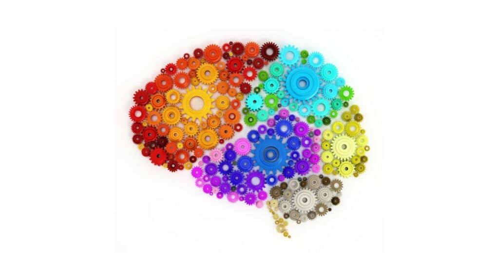 Neuroeconomia