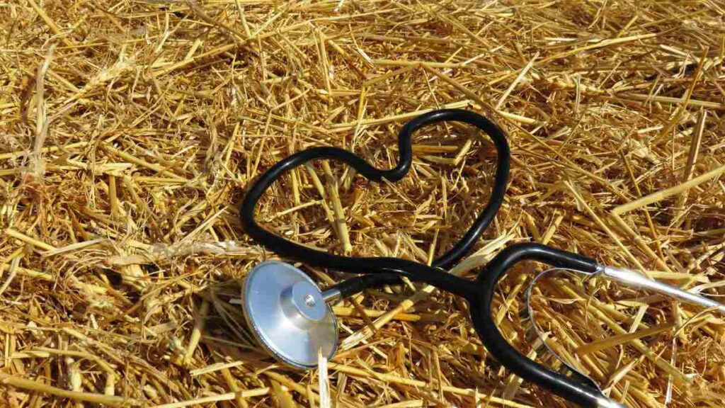 Test di Veterinaria
