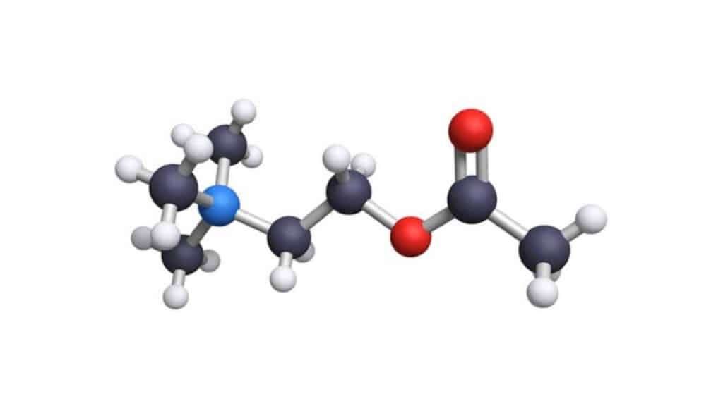 acetilcolina