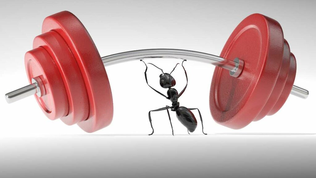 punti di forza - suggerimenti per eccellere
