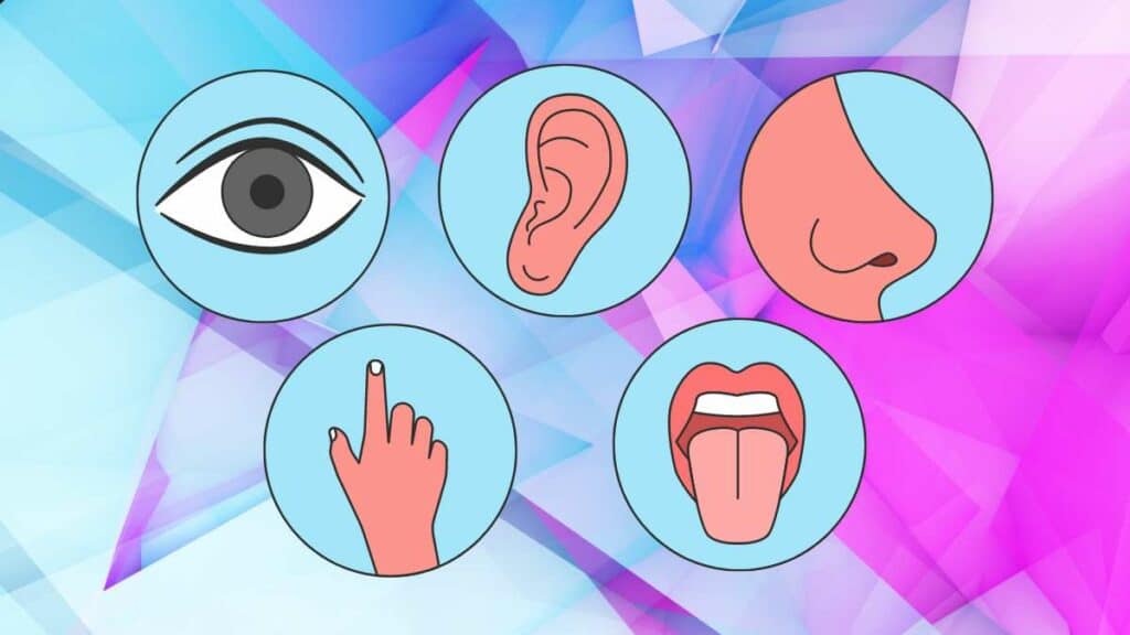 marketing sensoriale - come coinvolgere con il potere dei 5 sensi
