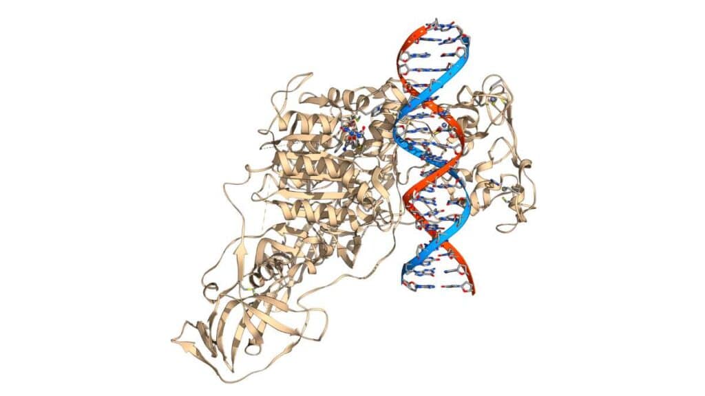 epigenetica