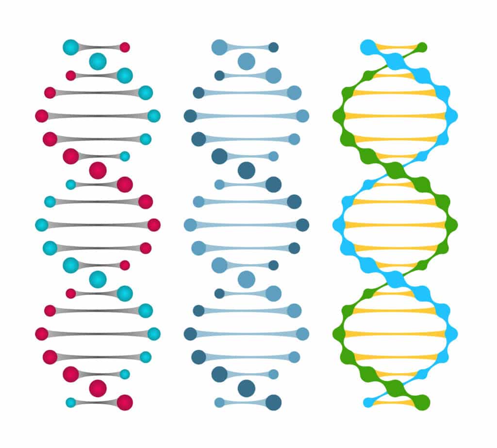 Metilazione del DNA