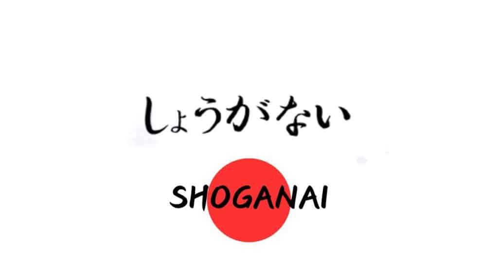 Shoganai - smettere di preoccuparsi