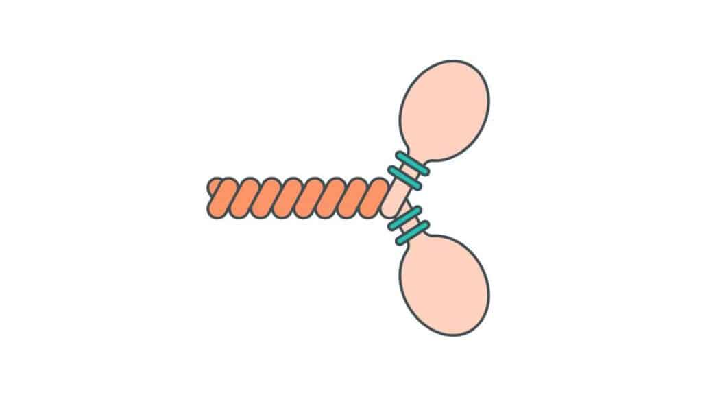 miosine