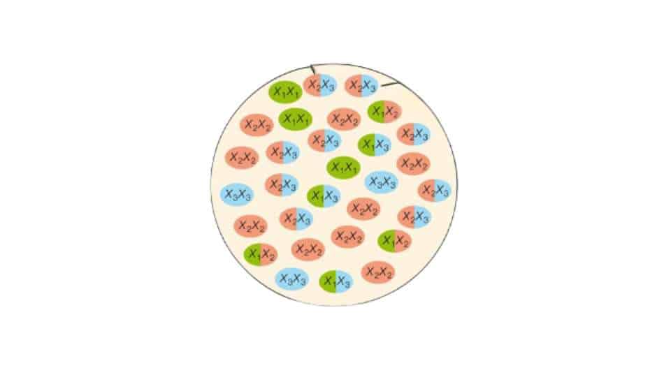 pool genico - significato e implicazioni nell'evoluzione