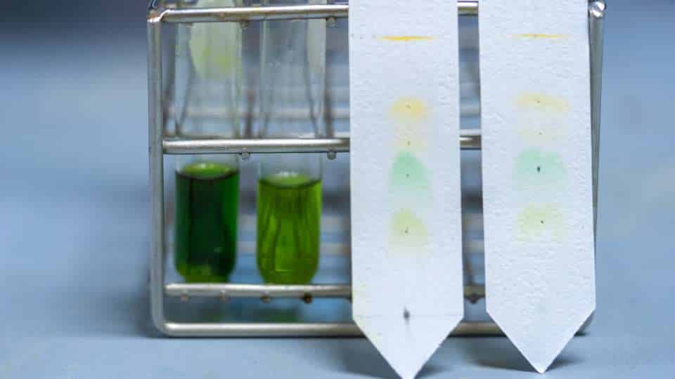 cromatografia - a cosa serve, tecniche principali