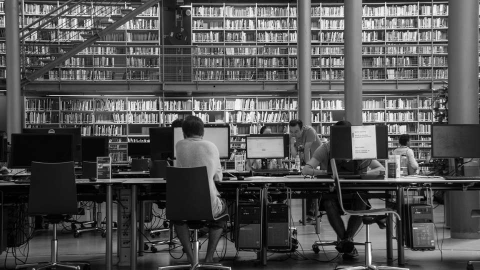 sicurezza in università
