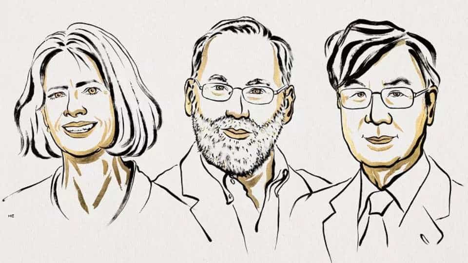 Premio Nobel per la Medicina 2025 agli scienziati che hanno scoperto i segreti del nostro sistema immunitario