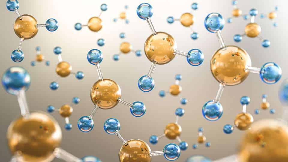 Via dei pentoso fosfati - ruolo, regolazione e connessioni con glicolisi e gluconeogenesi