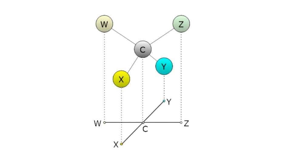Proiezioni di Fisher nella chimica organica - definizione e regole