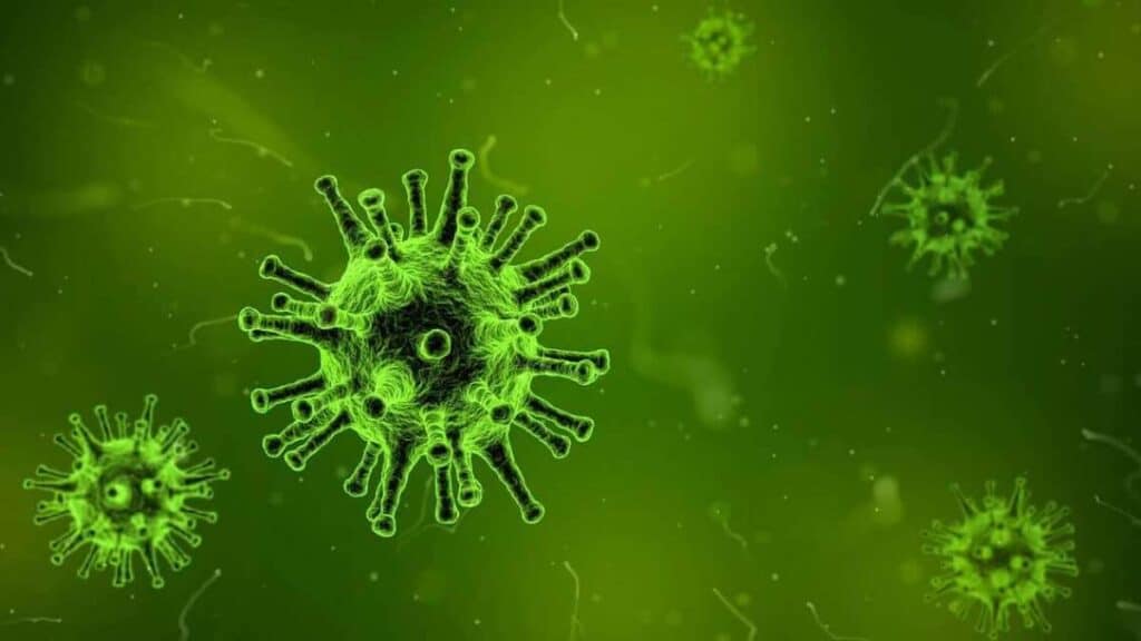 Immunologia - cosa studiare per il Test di ammissione