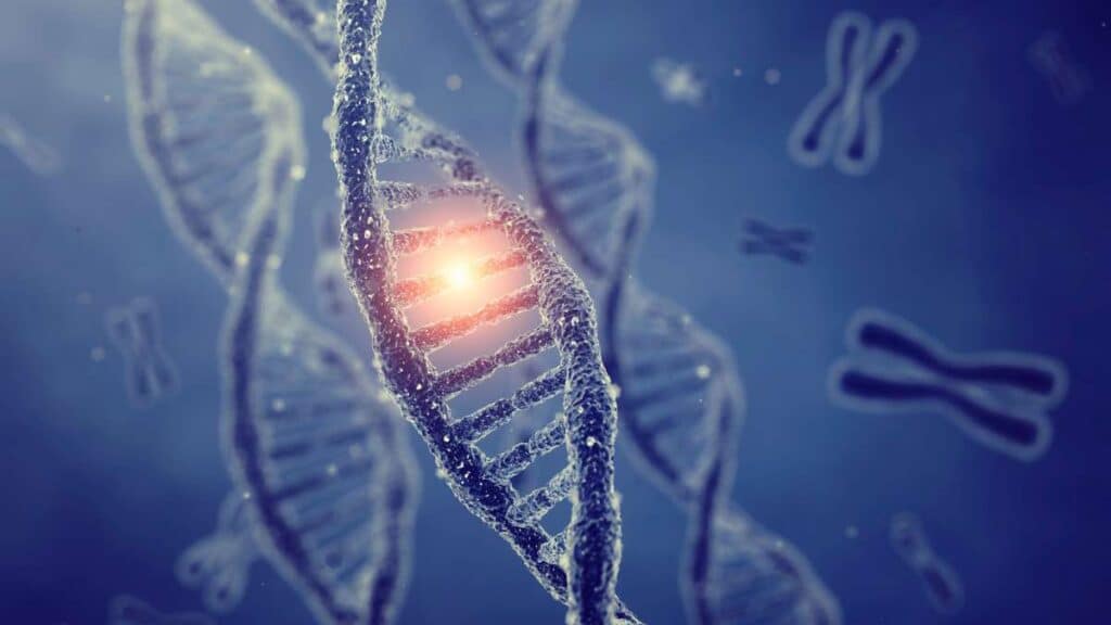 Pleiotropia genetica - come un gene influenza più caratteristiche