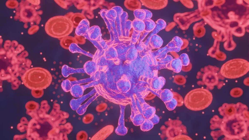 Meccanismi cellulari e molecolari del sistema immunitario