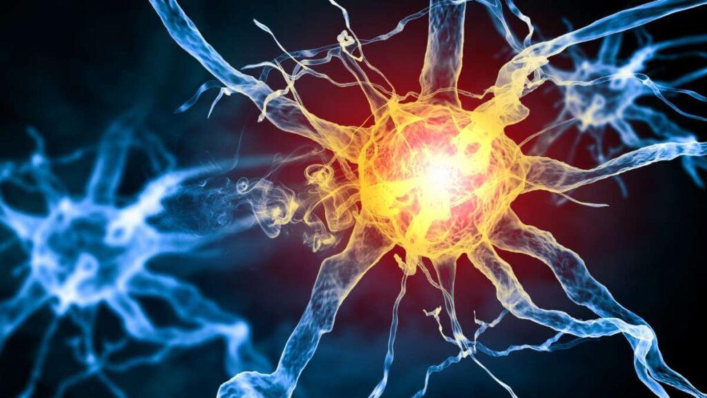 Biochimica degli ormoni - meccanismi, recettori e risposte fisiologiche