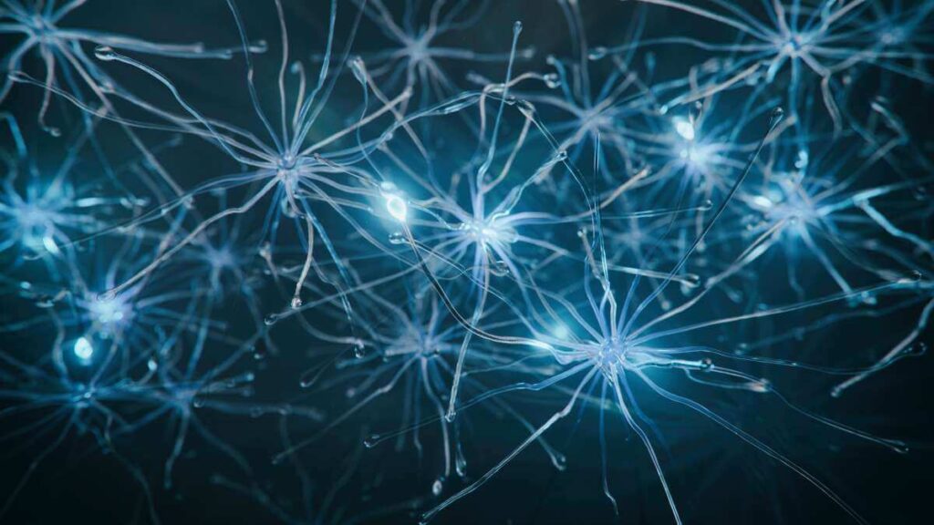 Fisiologia delle sinapsi - canali ionici e neurotrasmettitori