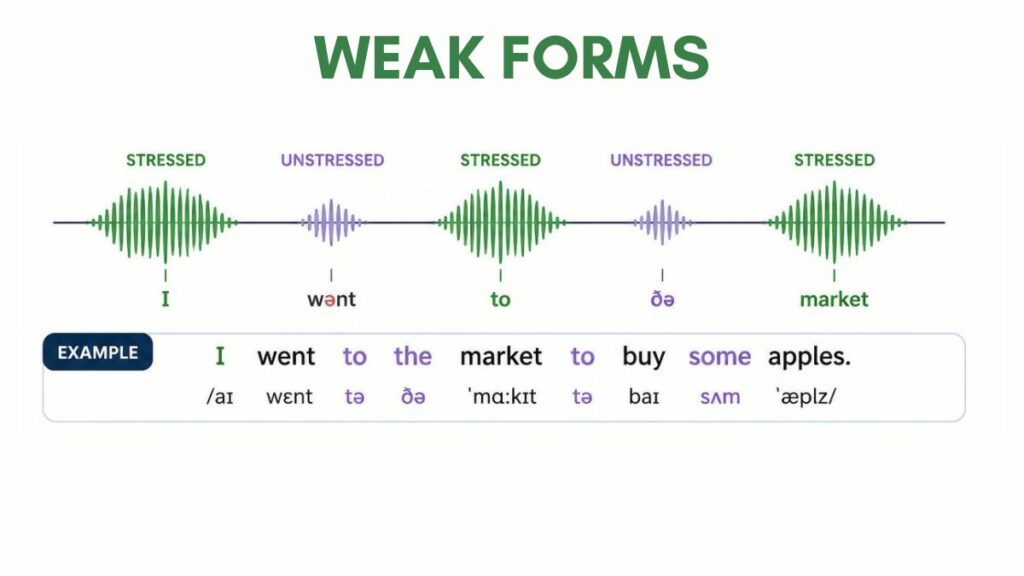 Weak forms in inglese - cosa sono e come usarle nella pronuncia
