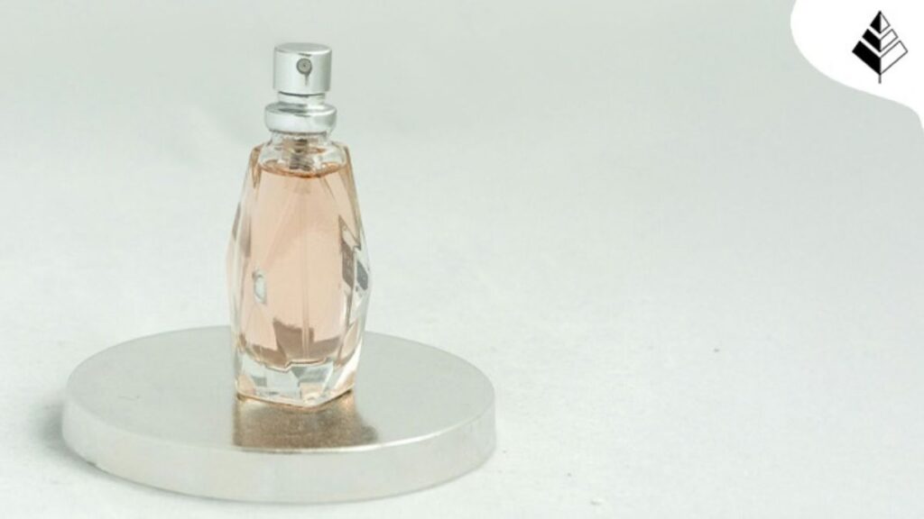 5 fragranze di nicchia abbinate a 5 facoltà - da Byredo Bibliothèque a Orto Parisi Boccanera.